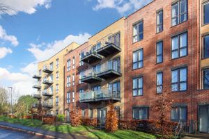 Photo 11- click for photo gallery